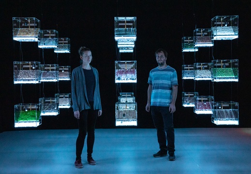 The Transparency of Randomness / Mathias Gartner (AT), Vera Tolazzi (AT)