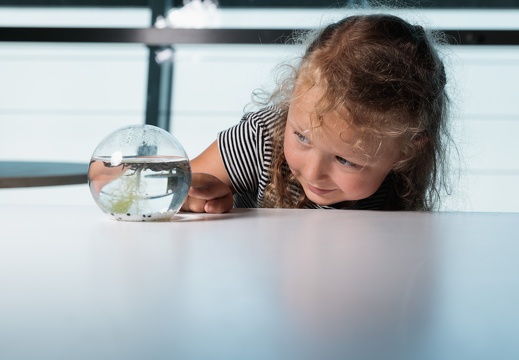 Kids' Research Laboratory