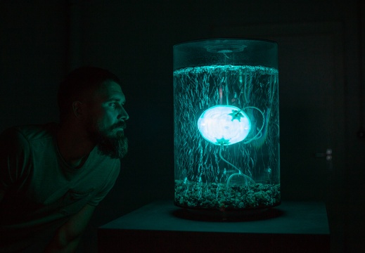 ArchaeaBot / Anna Dumitriu (GB), Alex May (GB)