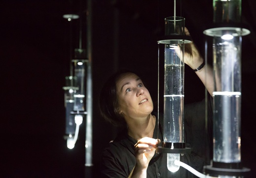 Best of Ars Electronica