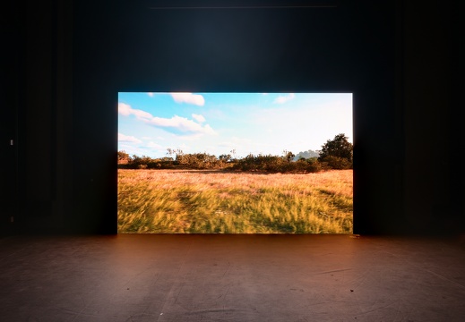 I’m Feeling Lucky / Timothy Thomasson (CA)