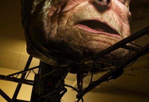 Requiem for an Exit / Frode Oldereid (NO), Thomas Kvam (NO)