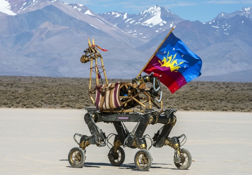 Guanaquerx / Paula Gaetano Adi (AR)