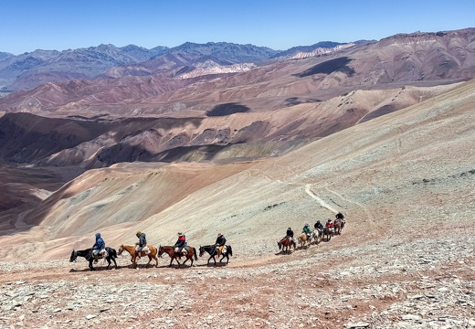 Guanaquerx / Paula Gaetano Adi (AR)