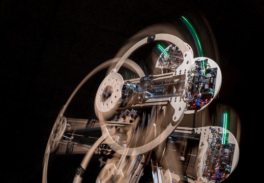 Organism + Excitable Chaos / Navid Navab (IR/CA), Garnet Willis (CA)