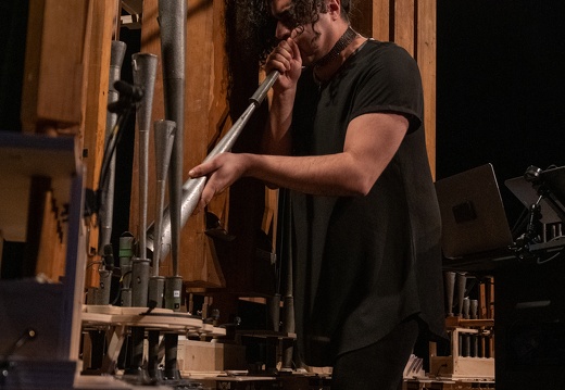 Organism + Excitable Chaos / Navid Navab (IR/CA), Garnet Willis (CA)