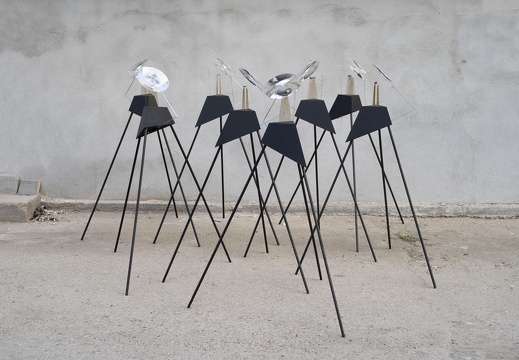 Mineral Amnesia / Ioana Vreme Moser (RO)