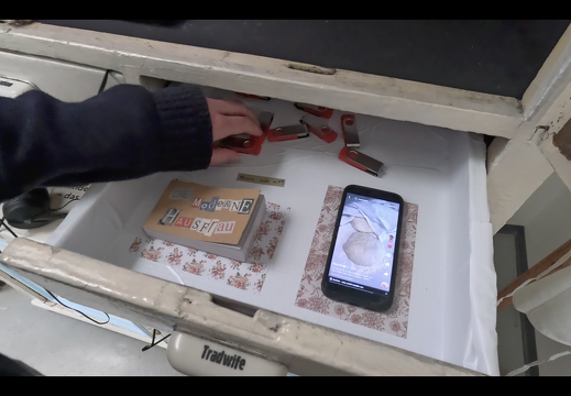 Die moderne Hausfrau / Rosa Gottwald (AT), Luna Hörstlhofer (AT), Lucia Kottar-Trimmel (AT), Barbara Reiter (AT)