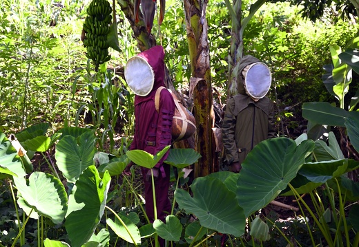 The Wild Future Lab / Kairos Futura (KE)