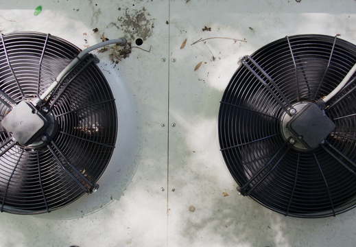 Computational Compost / Marina Otero Verzier (ES) and Donostia International Physics Center / Prototype   Locument (Francisco Lobo (PT), Romea Muryń (PL), Marina Otero Verzier (ES) / Film