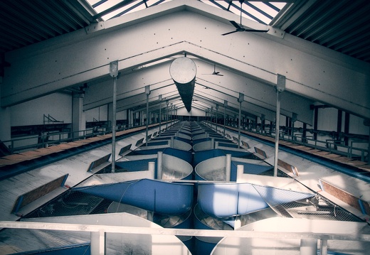 Post & Packet Distribution Center