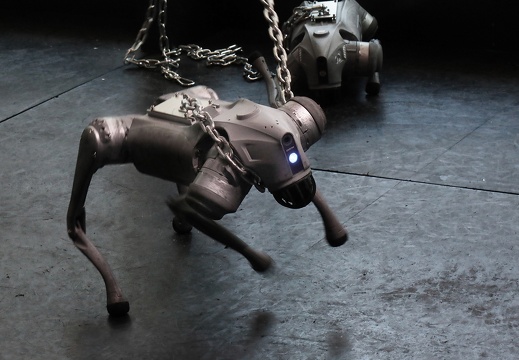 Dynamics of a Dog on a Leash / Takayuki Todo (JP)