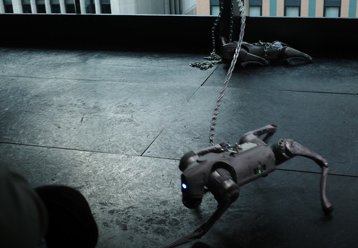 Dynamics of a Dog on a Leash / Takayuki Todo (JP)
