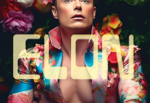 ELON / GIGACITIES COLLECTIVE x Simon Weckert (DE/US)