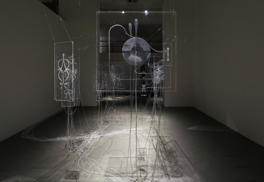 Fluid Anatomy / Ioana Vreme Moser (RO/DE)