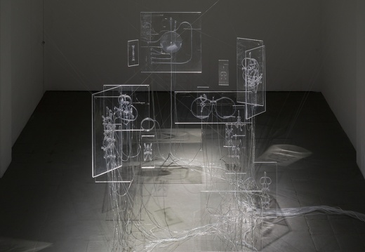 Fluid Anatomy / Ioana Vreme Moser (RO/DE)