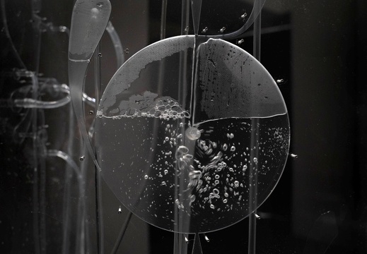 Fluid Anatomy / Ioana Vreme Moser (RO/DE)