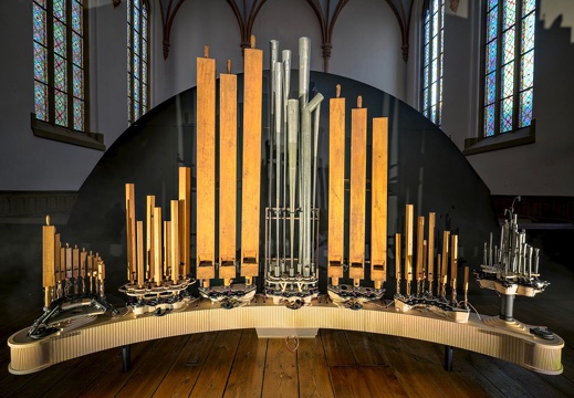 Organism: In Turbulence / Navid Navab (IR/CA)