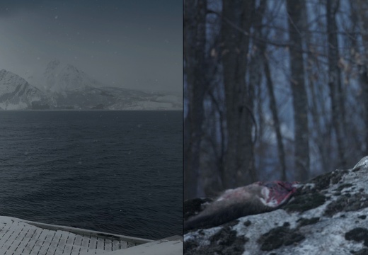 Rituals | The Mountain of Advanced Dreams / Mali Weil (IT)