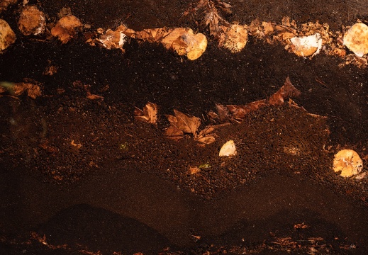 Computational Compost / Marina Otero Verzier (ES)