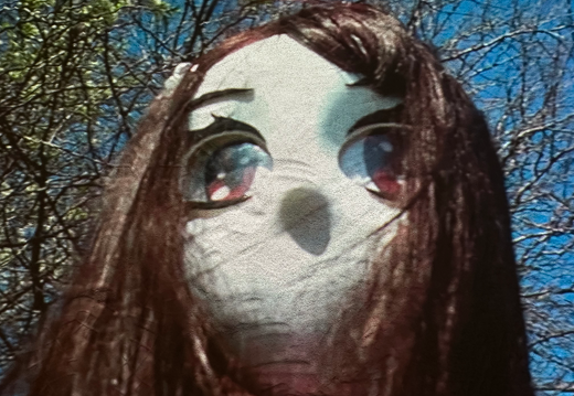 Adapting on the Edge / School of the Art Institute of Chicago (SAIC) (US)