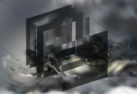 Inference Ground Truth / Johannes Pöll (AT), Raphael Schaumburg-Lippe (AT), Simon Schmid (AT)