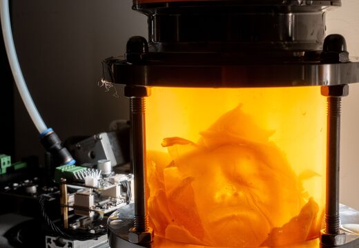 What does a bacterial civilization leave behind? / Yitong Tseo (US)