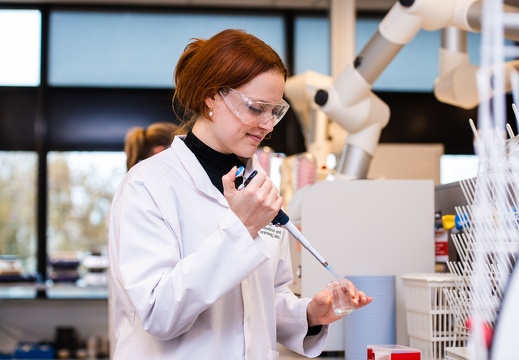 Future Materials / Jan van Eyck Academie