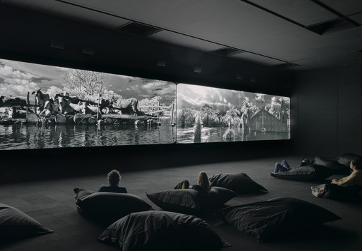 Broken Spectre / Richard Mosse (IE)