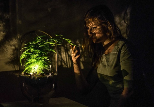 The Living Light / Nova Innova (NL)