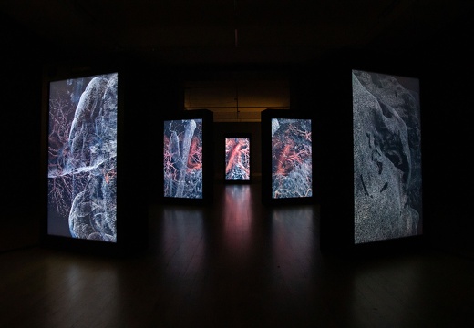 The Tides Within Us / Marshmallow Laser Feast (GB), Fraunhofer MEVIS (DE), Natan Sinigaglia (IT)