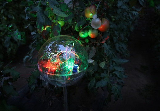 The Plant Intelligence Plan / Tianyi Zhang (CN)