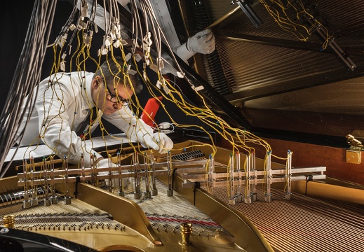 Biocomputer Rhythms  / Eduardo Reck Miranda