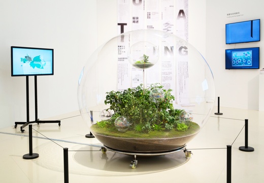 The Plant Intelligence Plan / Tianyi Zhang (CN)
