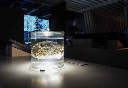 Impression of the exhibition Understanding AI