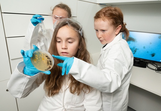 Ars Electronica Labs: BioLab