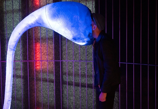 I, HUMAN / SAINT MACHINE (RO)