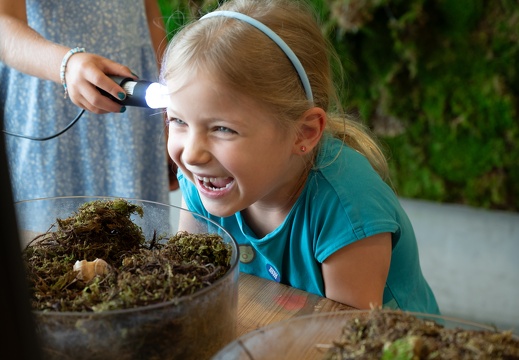 Workshop: Lots going on in the moss