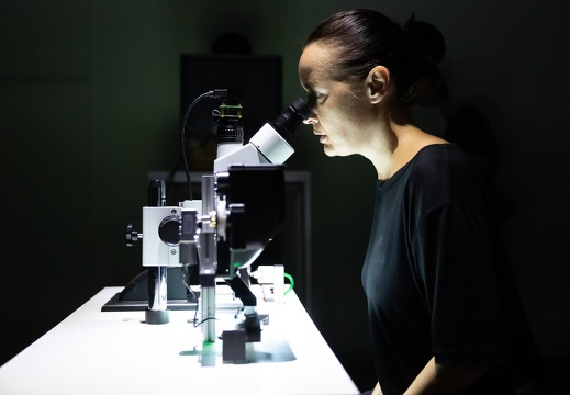 ERBSENZÄHLER Quality Sorter V2 / Verena Friedrich (DE)