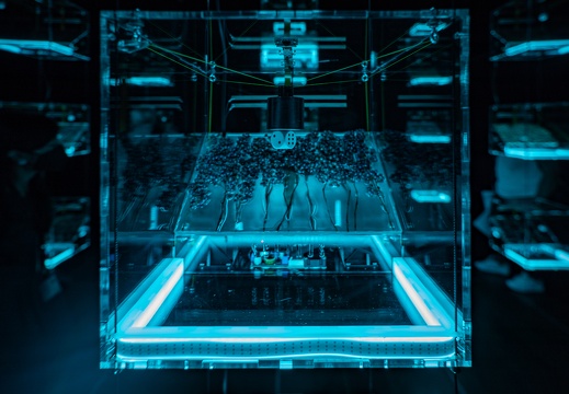 The Transparency Of Randomness / Vera Tolazzi (AT), Mathias Gartner (AT)