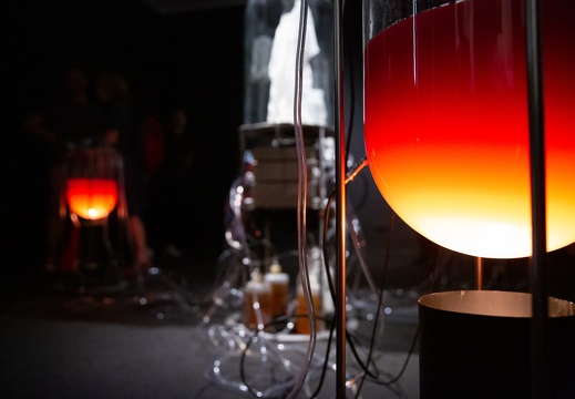 Labor / Paul Vanouse (US)