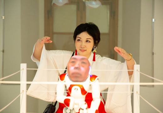 Digital Shaman Project / Etsuko Ichihara (JP)