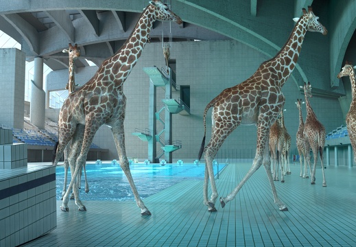 5 metres 80 / Nicolas Deveaux