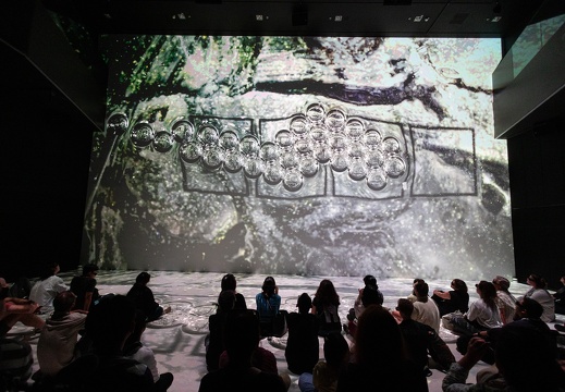 Data Art & Science Project / Ars Electronica Futurelab (AT), Toyota Coniq Alpha (JP), Akiko Nakayama (JP), Quadrature (DE), Akira Wakita (JP)