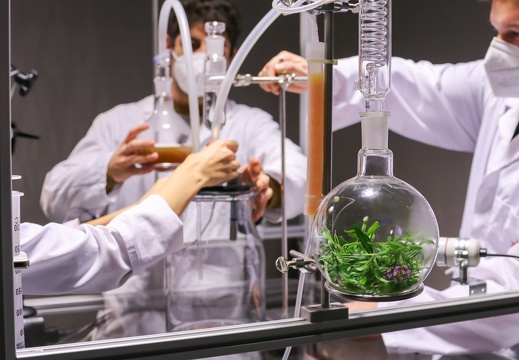 Bio Ink: Co-creating with microorganisms