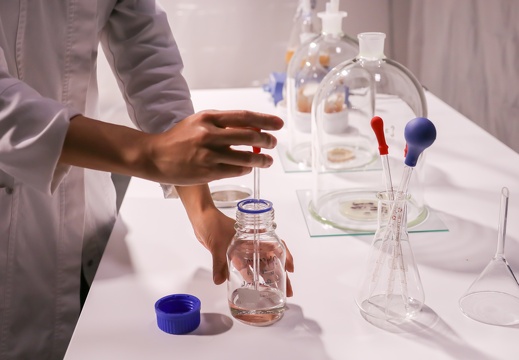 Bio Ink: Co-creating with microorganisms