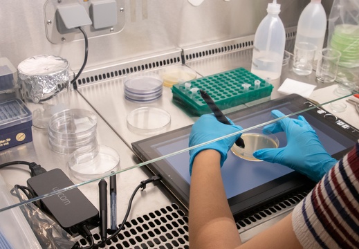 Festival University – Bio Ink