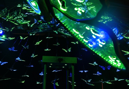 L’Oracle du Papillon