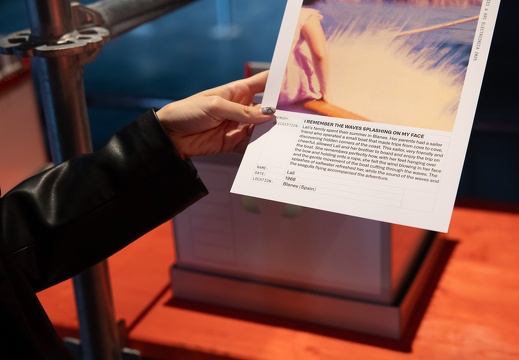 Synthetic Memories / Domestic Data Streamers (ES)