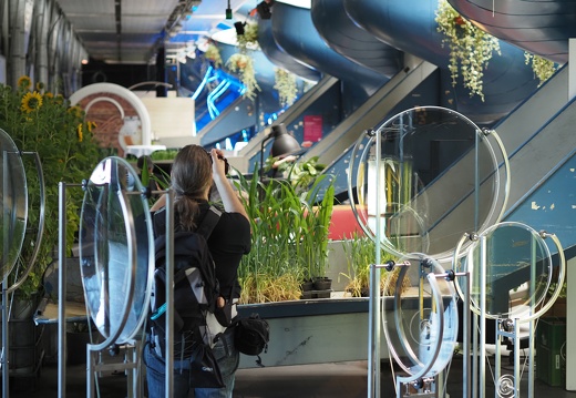 Coexist / Emergence Delft (NL)